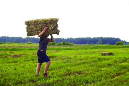 Defocus farmer carry hay stack. Portrait of a farmer going on an